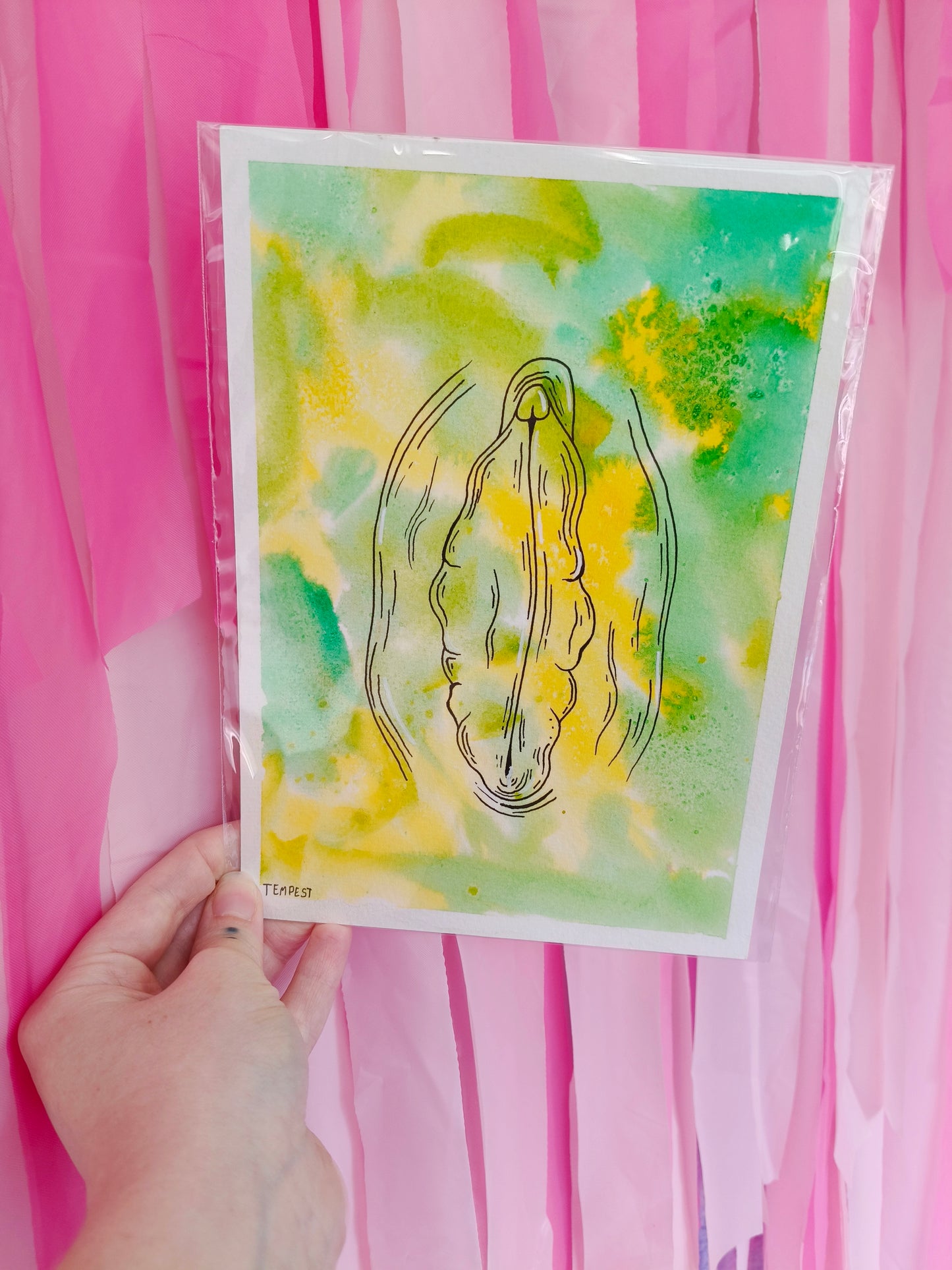 Limeade A5 Vulva Original