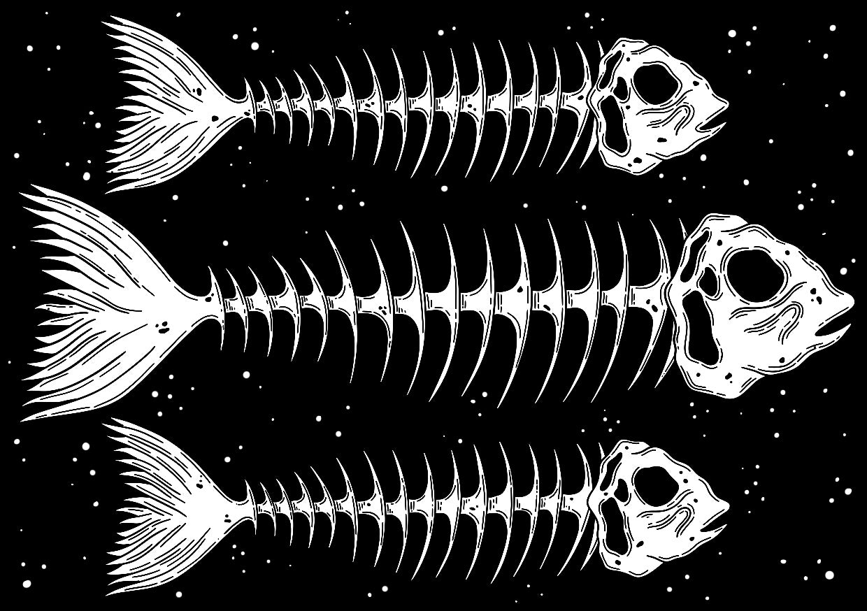 Fish bones A6 print