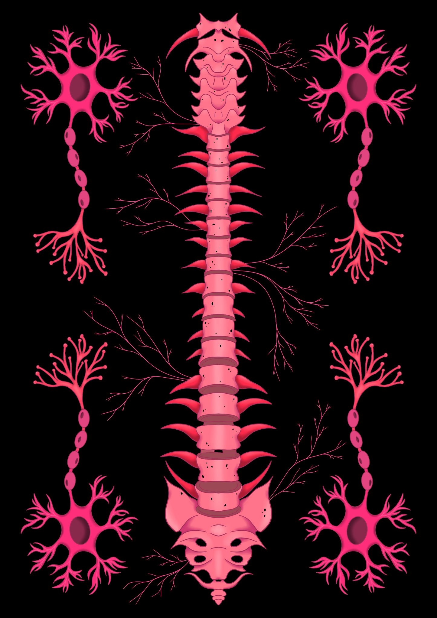 Spinal Nerve A4 print