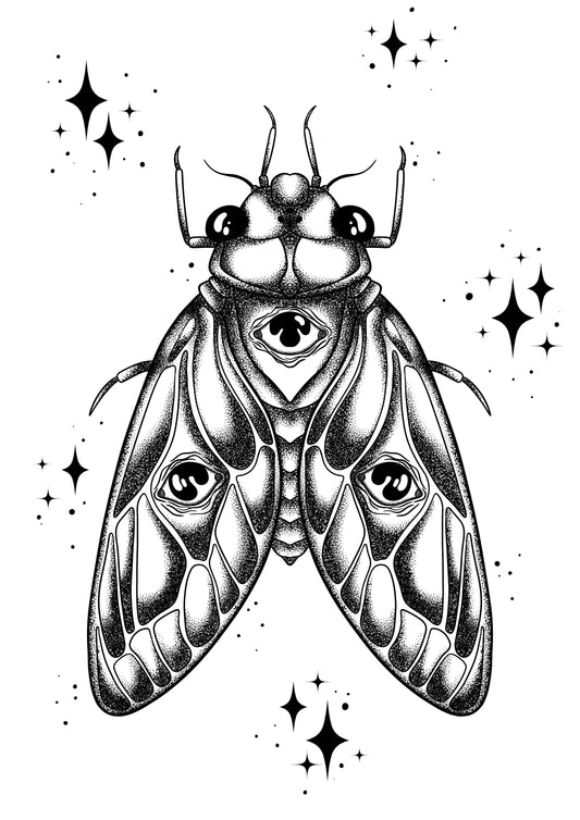 Cicada A6 print