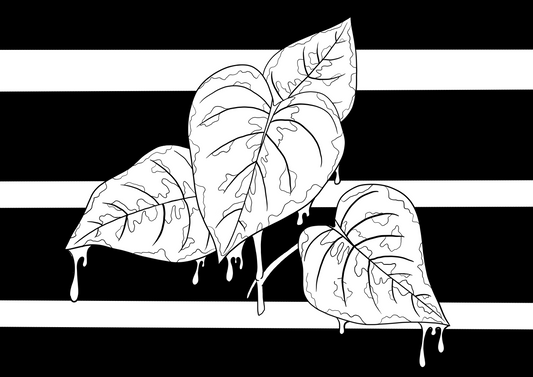 Philodendron Mamei A6 print