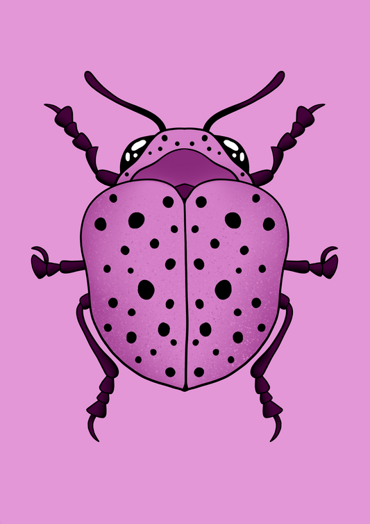 Pink Beetle A6 print