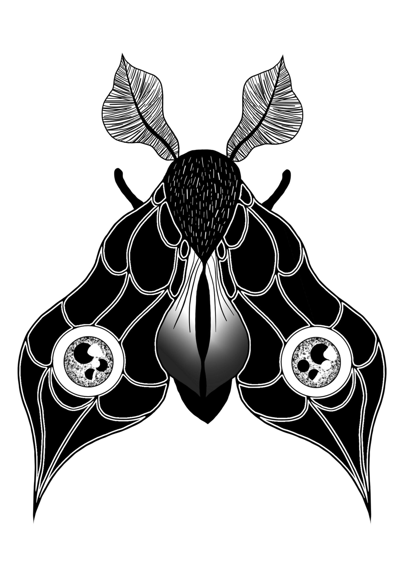 Double Eye Moth A6 print