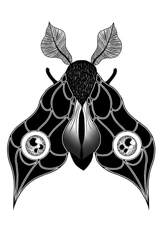 Double Eye Moth A6 print