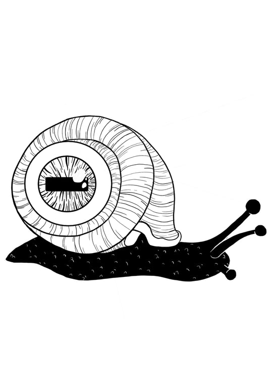 Eye Snail A6 print