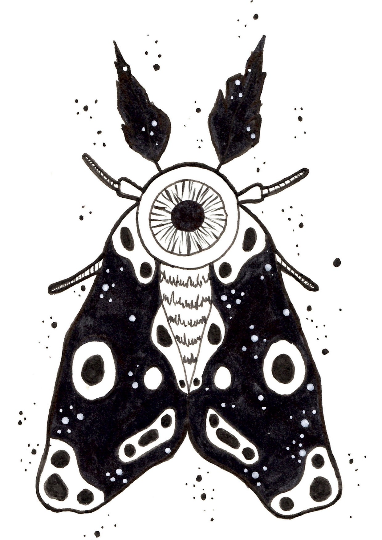 Eye Moth A6 print