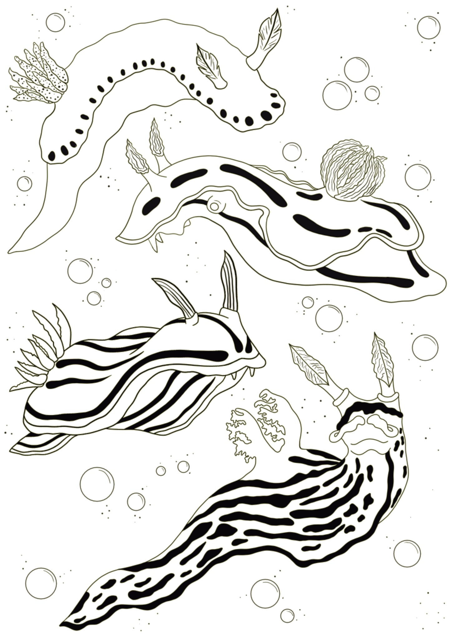 Nudibranch Black n White A5 Print