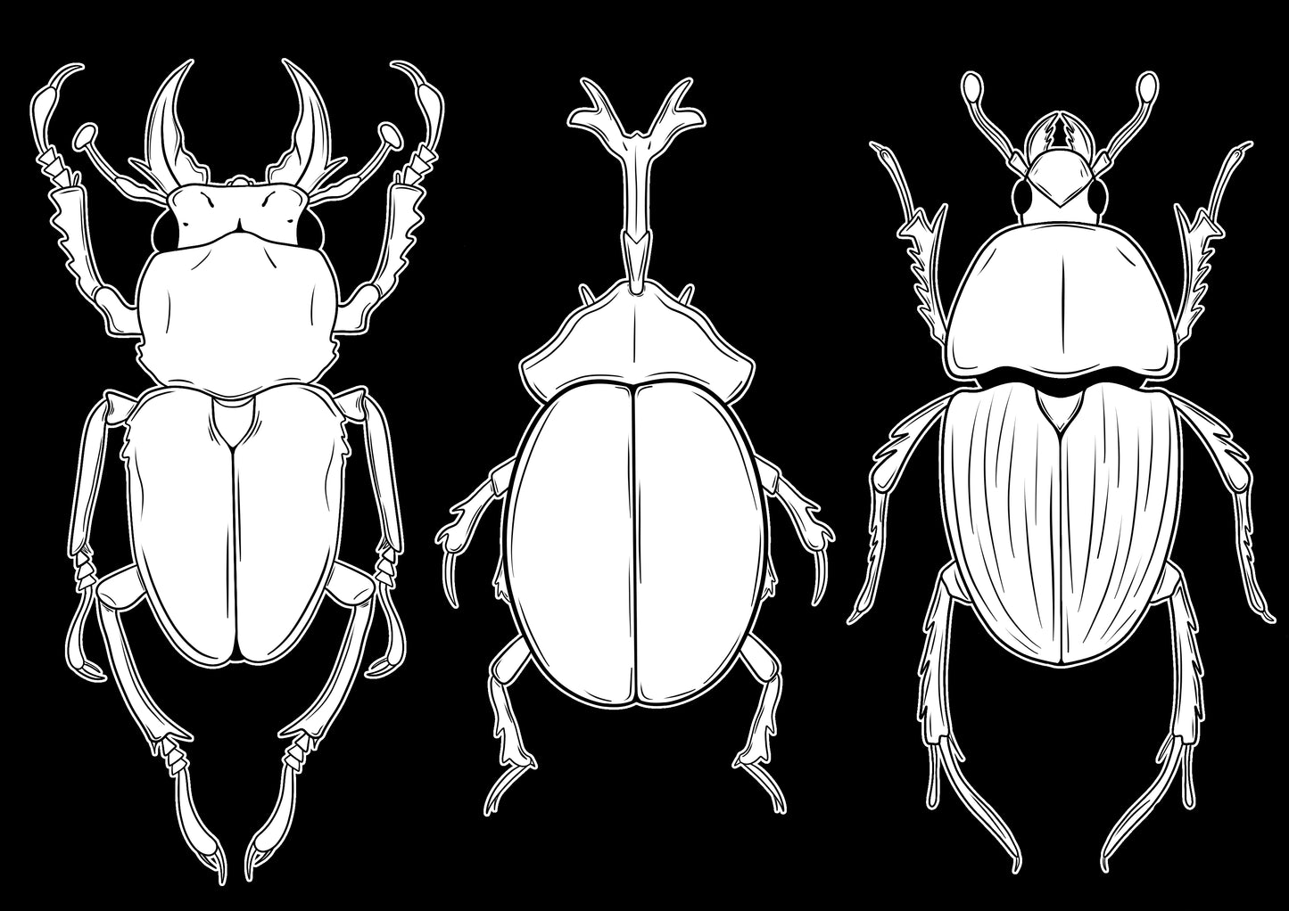 Beetle Boys A6 print