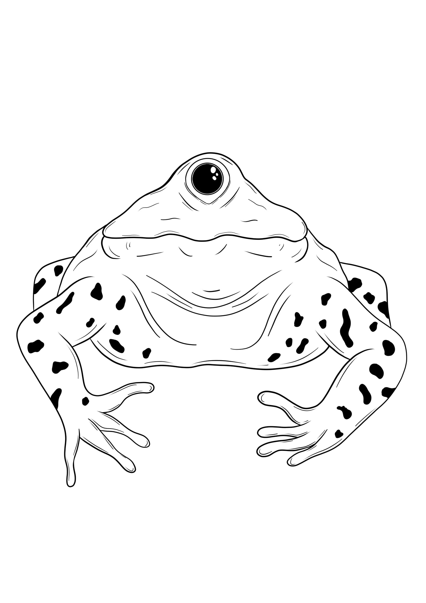 Cyclops Frog A6 print